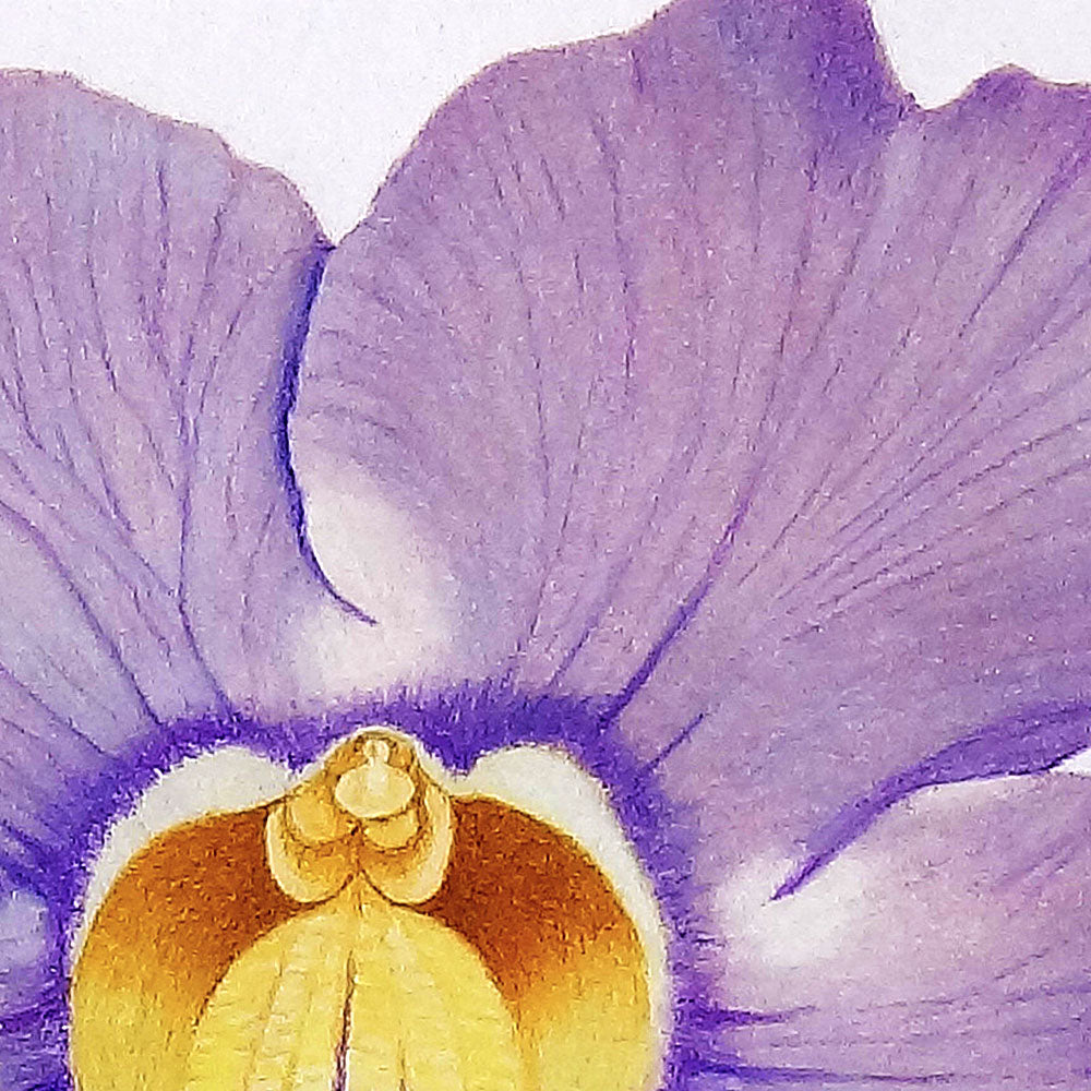 Obra Original: Flor de Cera, Autora: Eugenia Silva Cuartas