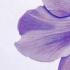 Obra Original: Flor de Cera, Autora: Eugenia Silva Cuartas