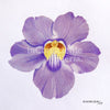 Obra Original: Flor de Cera, Autora: Eugenia Silva Cuartas