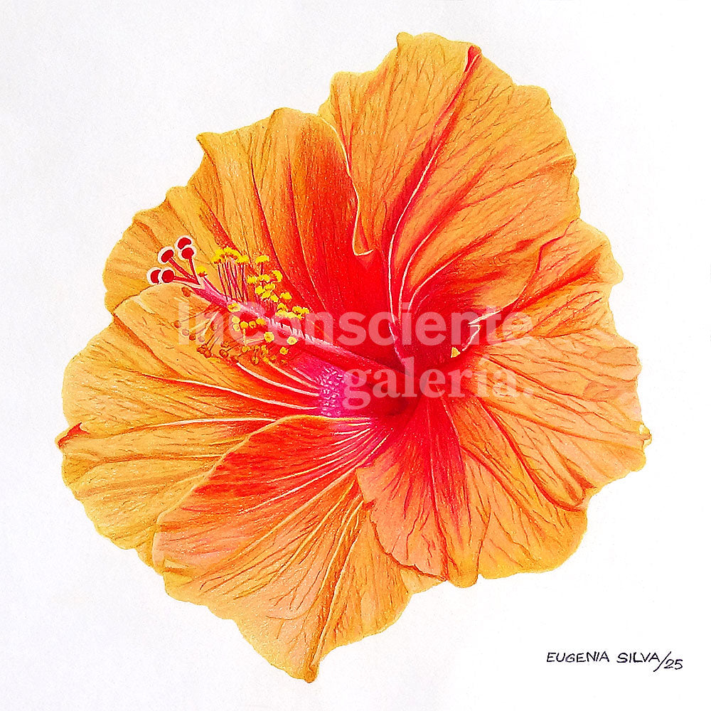 Print en lienzo con caballete decorativo: San Joaquín #1, Autora: Eugenia Silva Cuartas