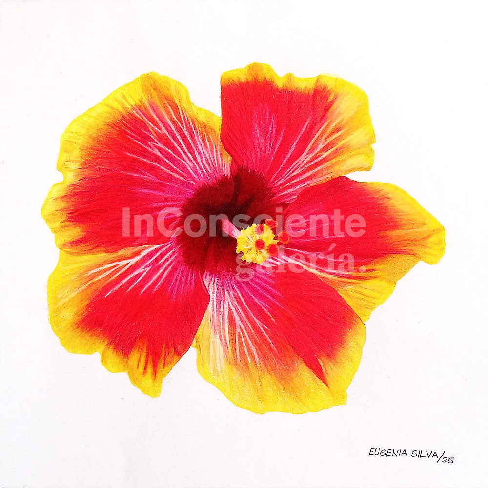 Print en lienzo con caballete decorativo: San Joaquín #2, Autora: Eugenia Silva Cuartas