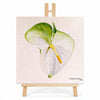 Print en lienzo con caballete decorativo: Anturio Blanco, Autora: Eugenia Silva Cuartas