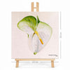 Print en lienzo con caballete decorativo: Anturio Blanco, Autora: Eugenia Silva Cuartas